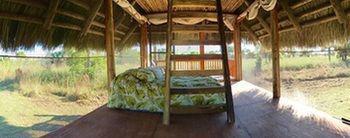 Everglades Chickee Cottage & Bungalow - Ochopee エクステリア 写真