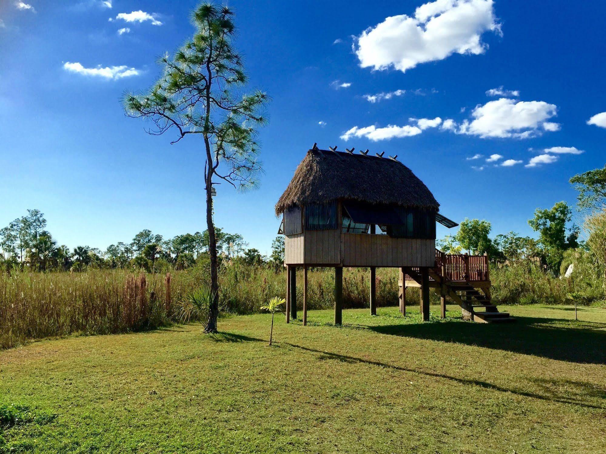 Everglades Chickee Cottage & Bungalow - Ochopee エクステリア 写真